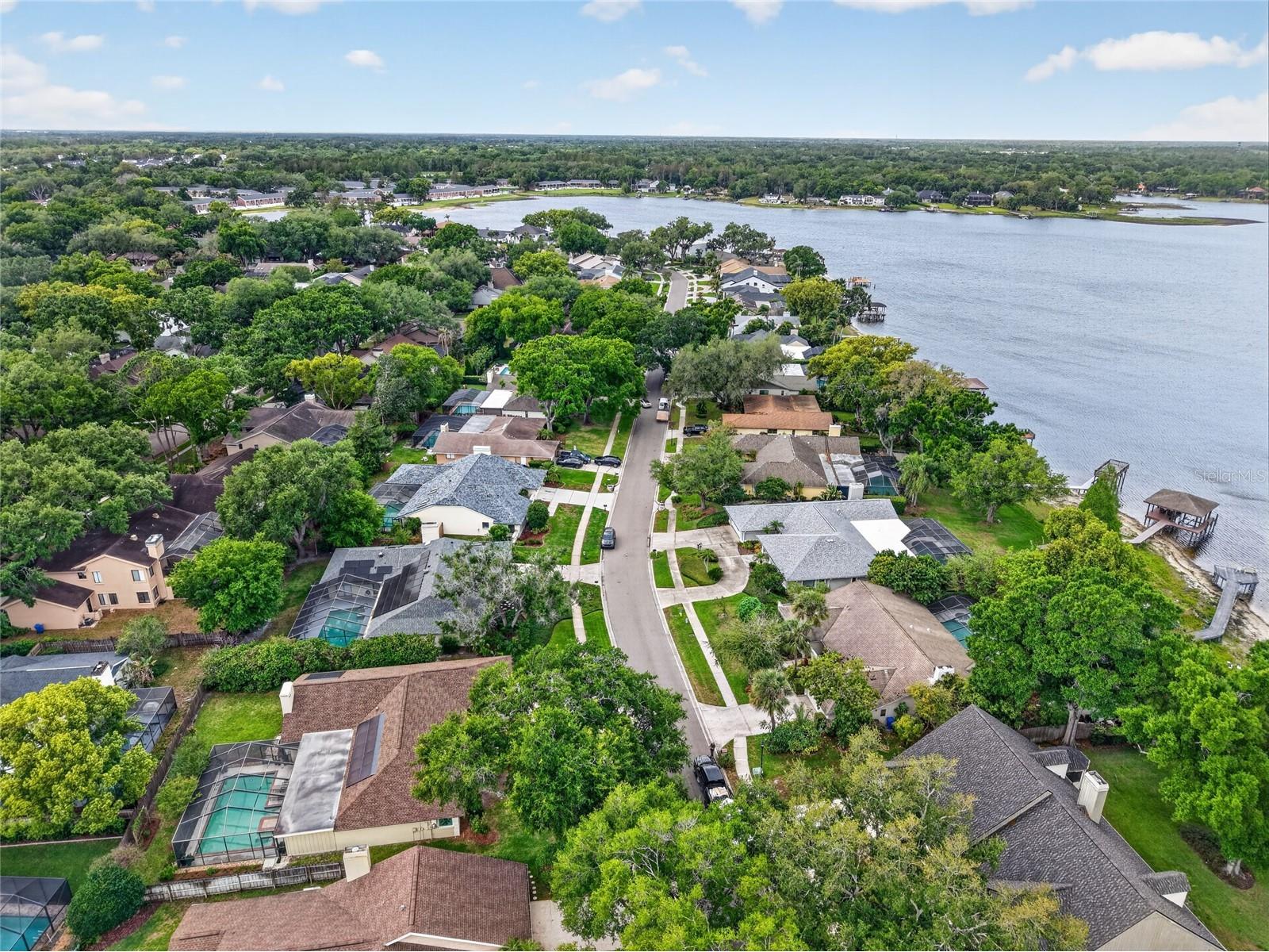 14013 Shady Shores Drive Tampa FL 33613 TB8495114 image62