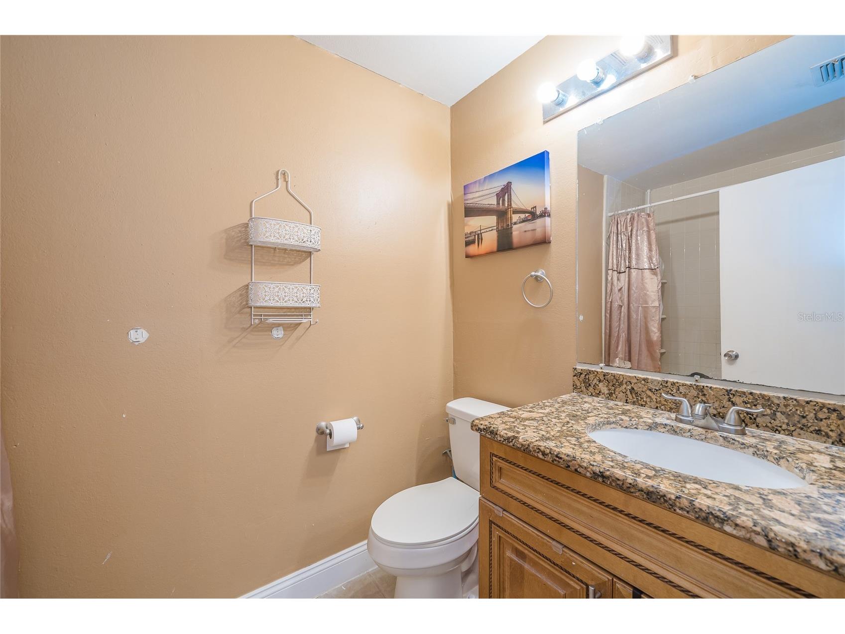 14015 Lemon Valley Place Tampa FL 33625 TB8523201 image29