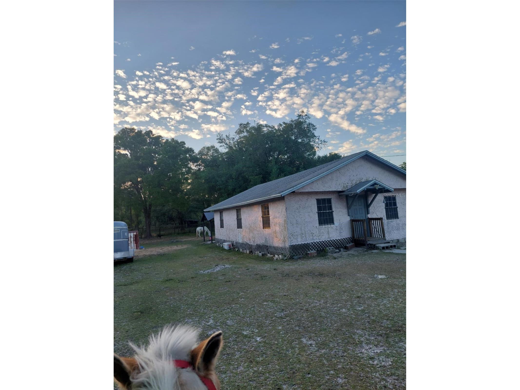 14016 N. Hwy 301 Thonotosassa FL 33592 G5107594 image1