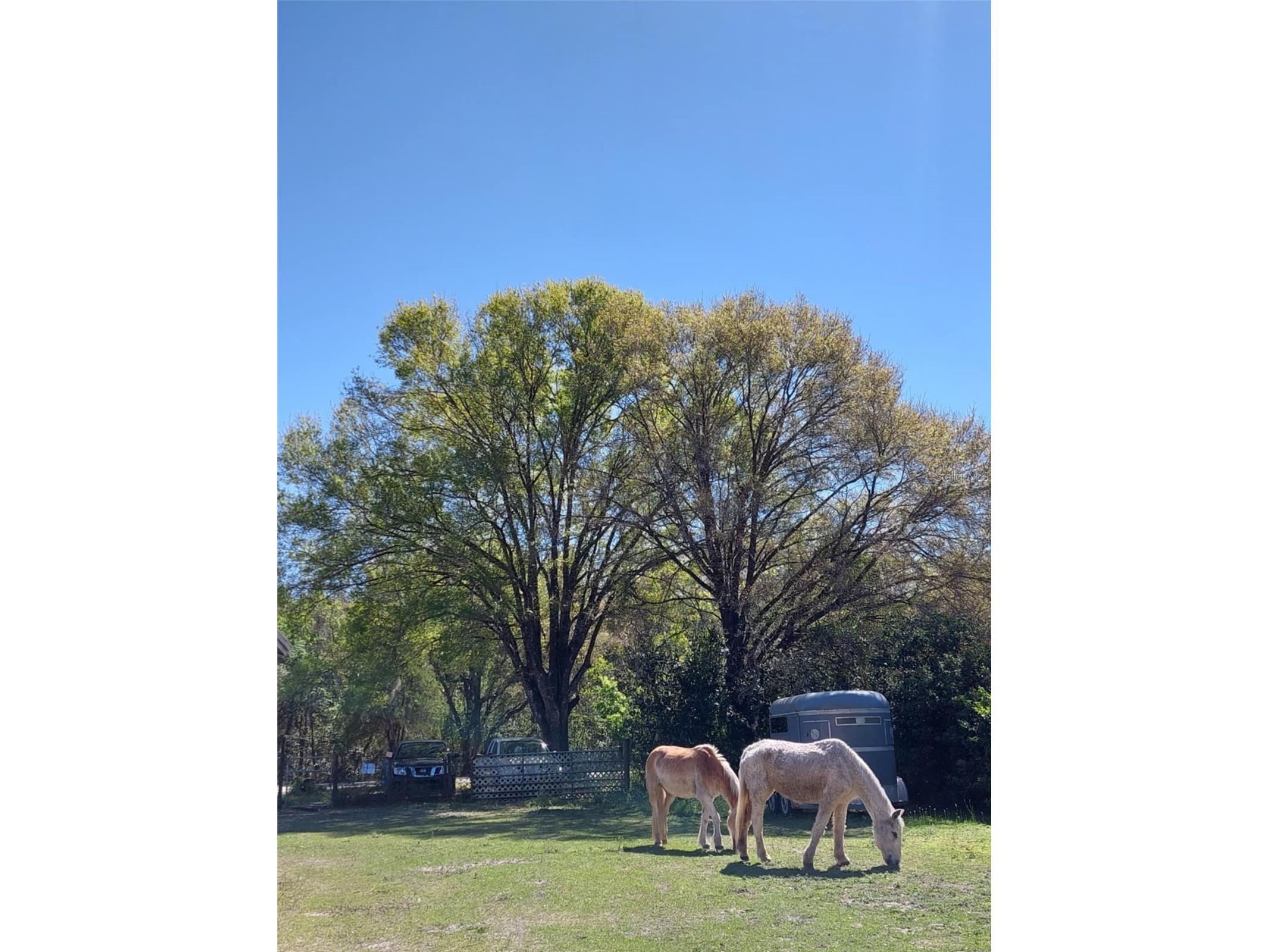 14016 N. Hwy 301 Thonotosassa FL 33592 G5107594 image2