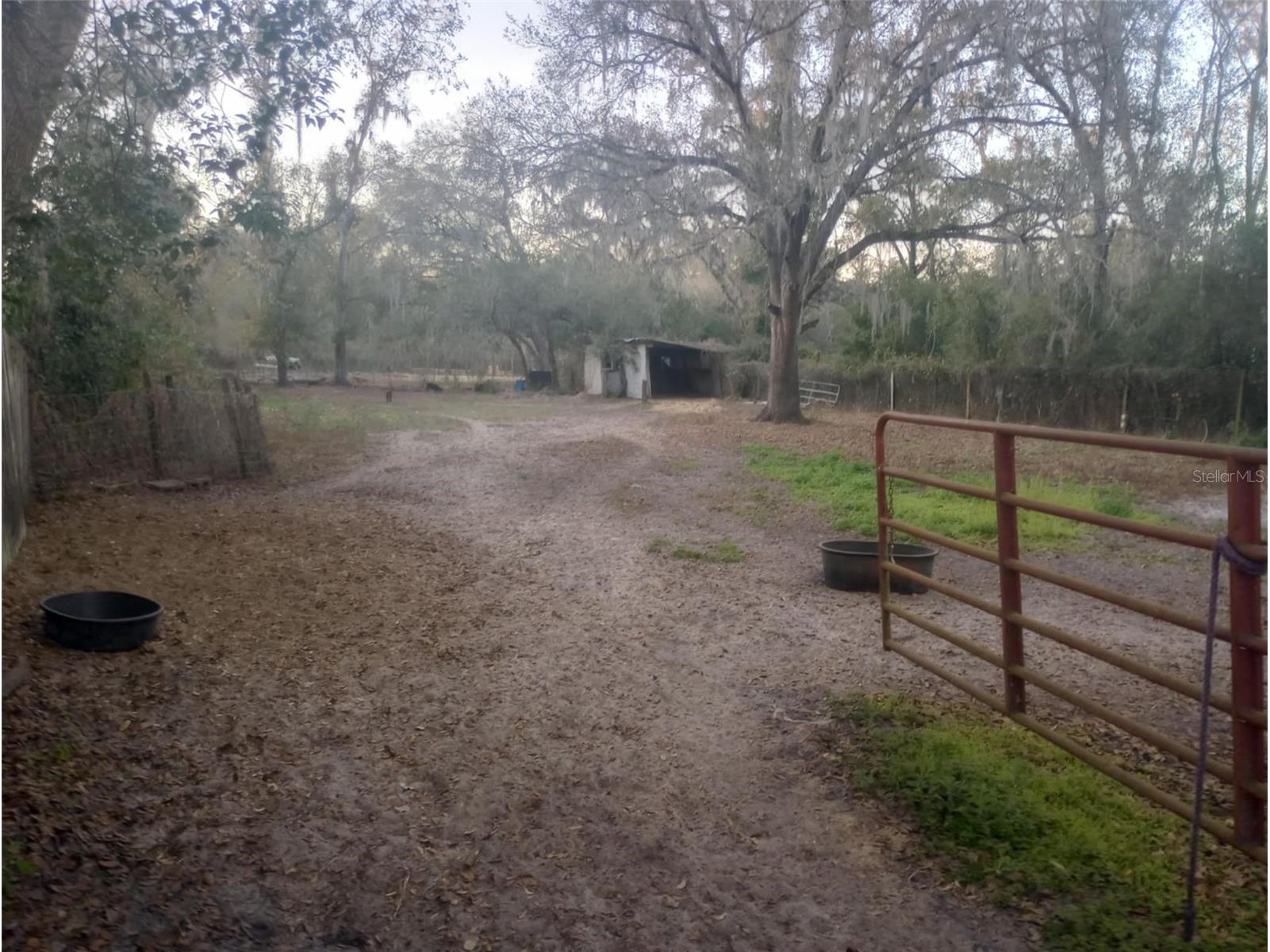 14016 N. Hwy 301 Thonotosassa FL 33592 G5107594 image3