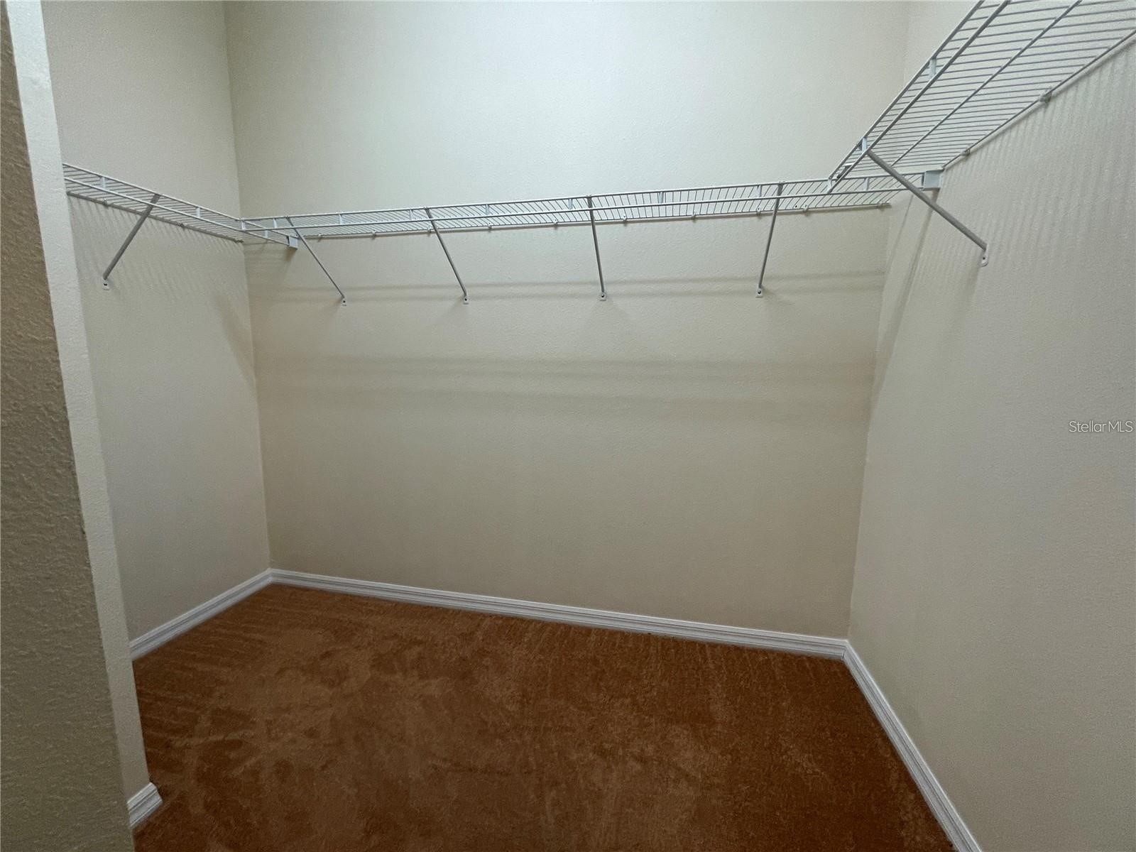 14017 Citrus Crest Circle Tampa FL 33625 TB8514185 image28