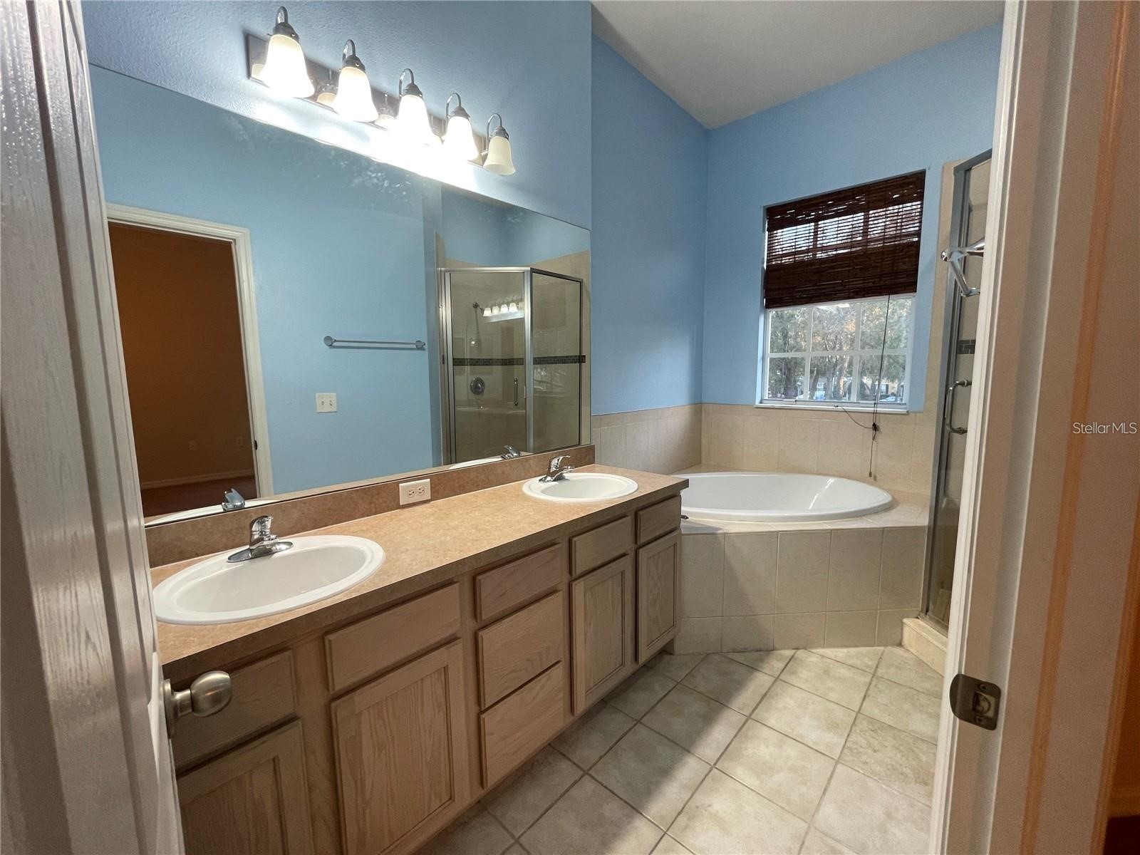 14017 Citrus Crest Circle Tampa FL 33625 TB8514185 image29