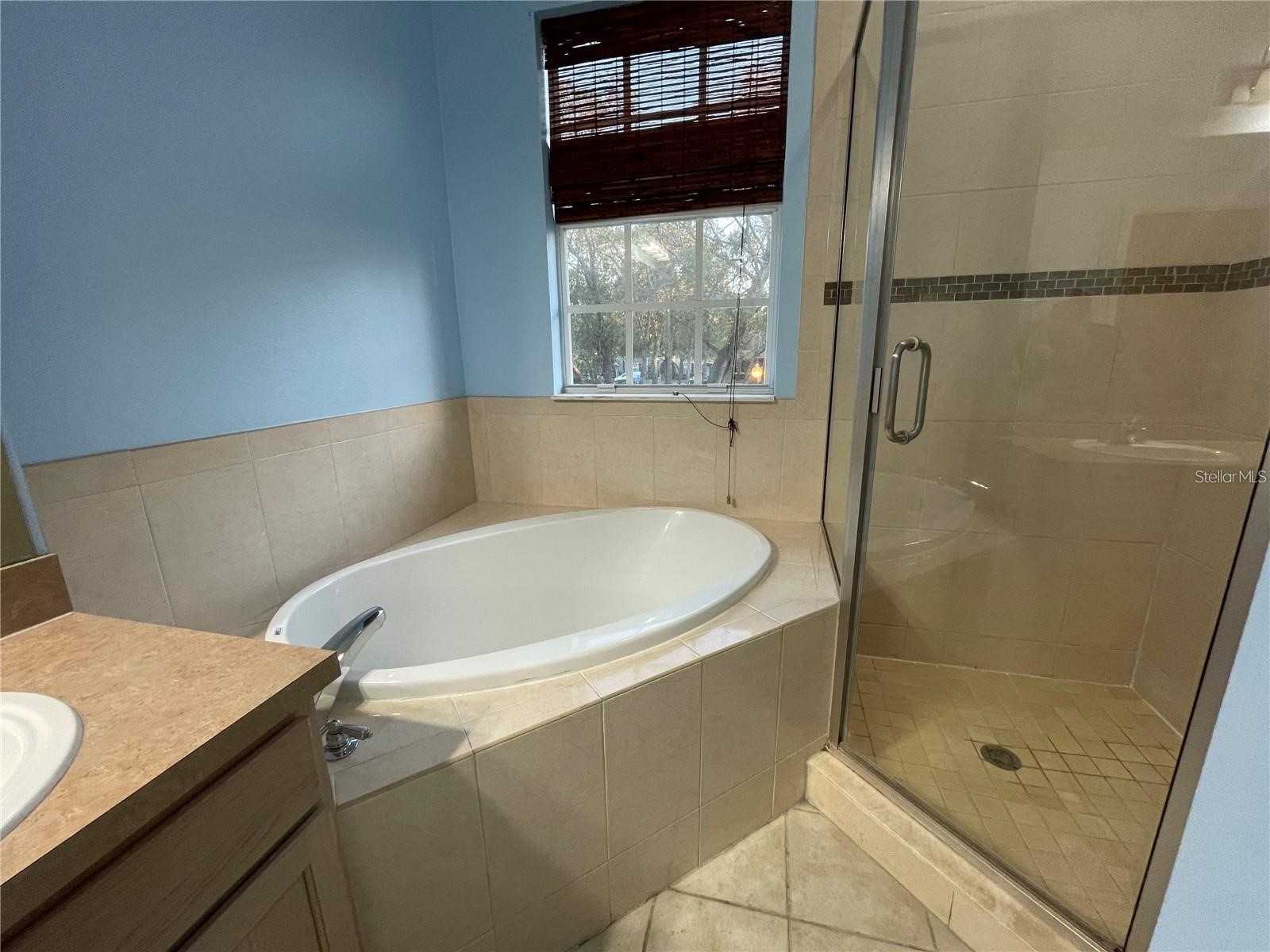 14017 Citrus Crest Circle Tampa FL 33625 TB8514185 image31