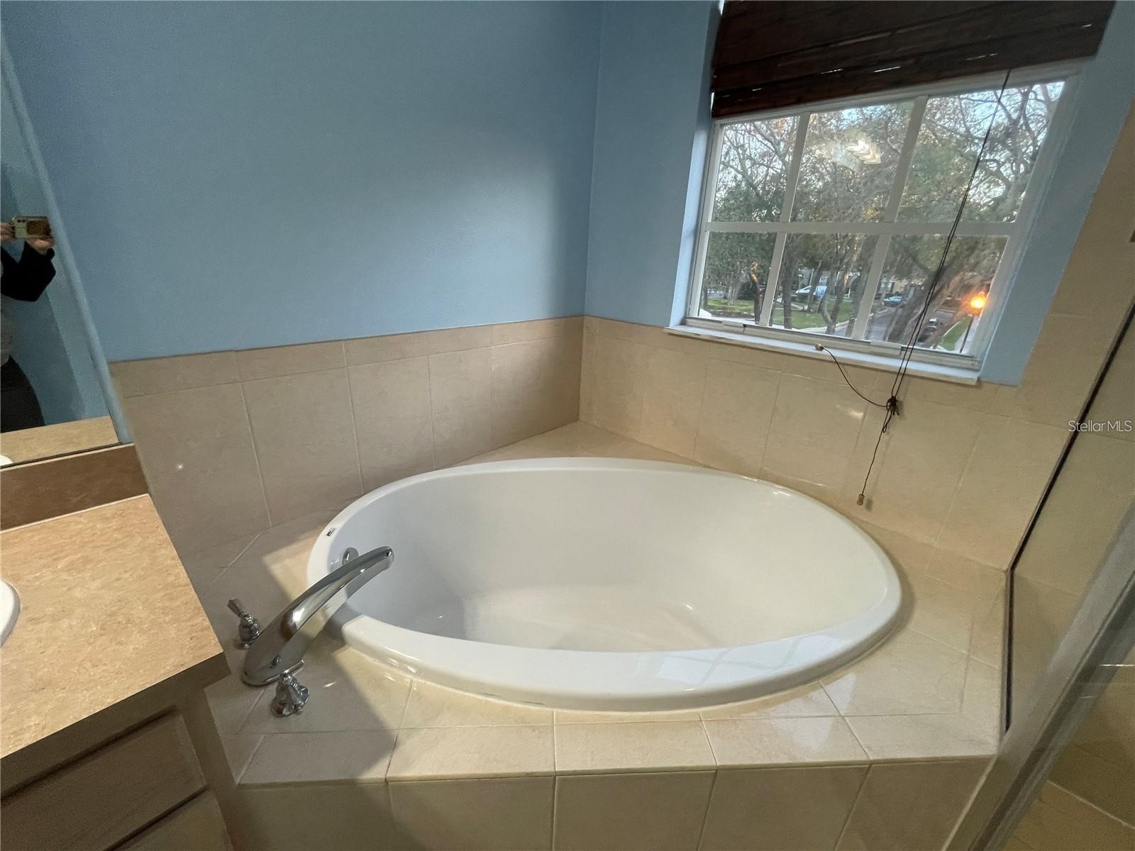 14017 Citrus Crest Circle Tampa FL 33625 TB8514185 image32