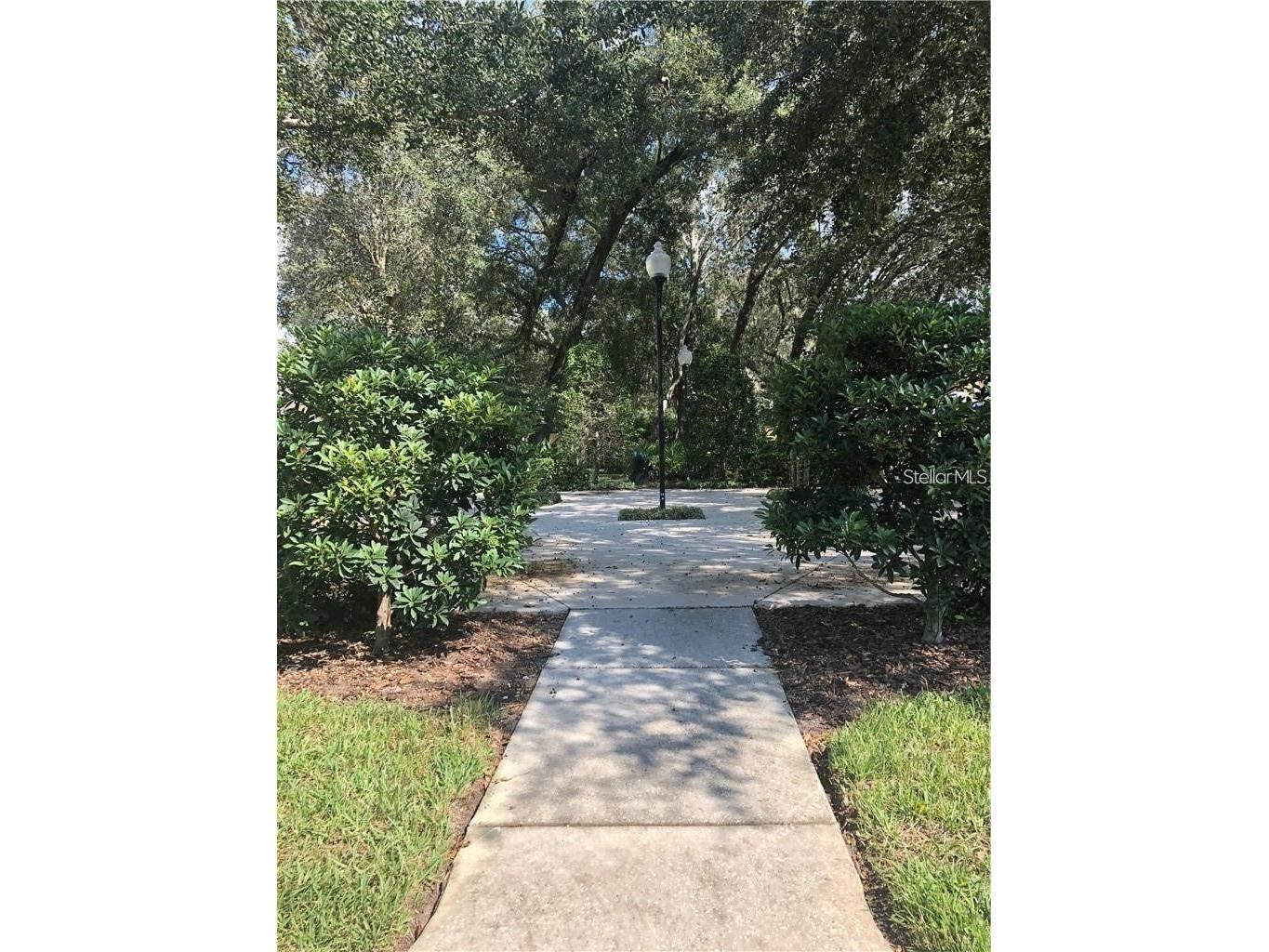 14017 Citrus Crest Circle Tampa FL 33625 TB8514185 image44