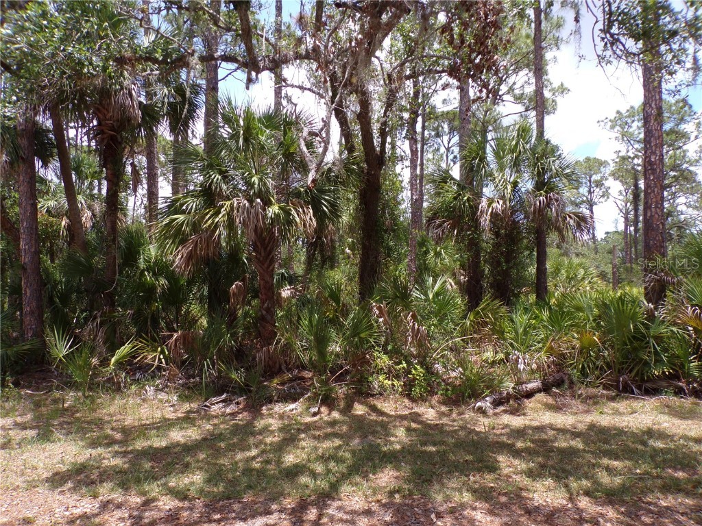 14018 Rider Avenue Port Charlotte FL 33953 C7510495 image1