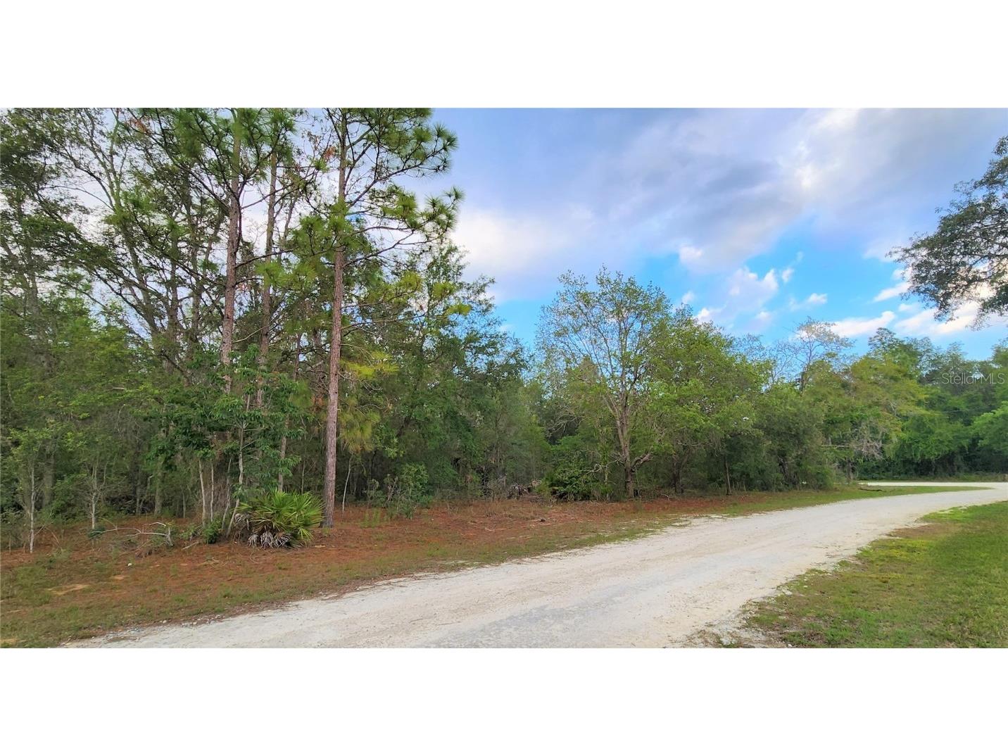 14019 Redstart Avenue Weeki Wachee FL 34614 T3446195 image1