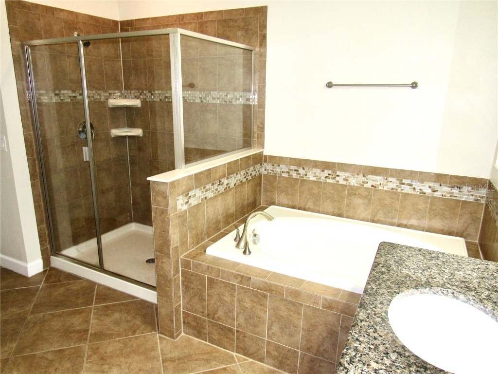 14019 Snowy Owl Lane Winter Garden FL 34787 S5109863 image8