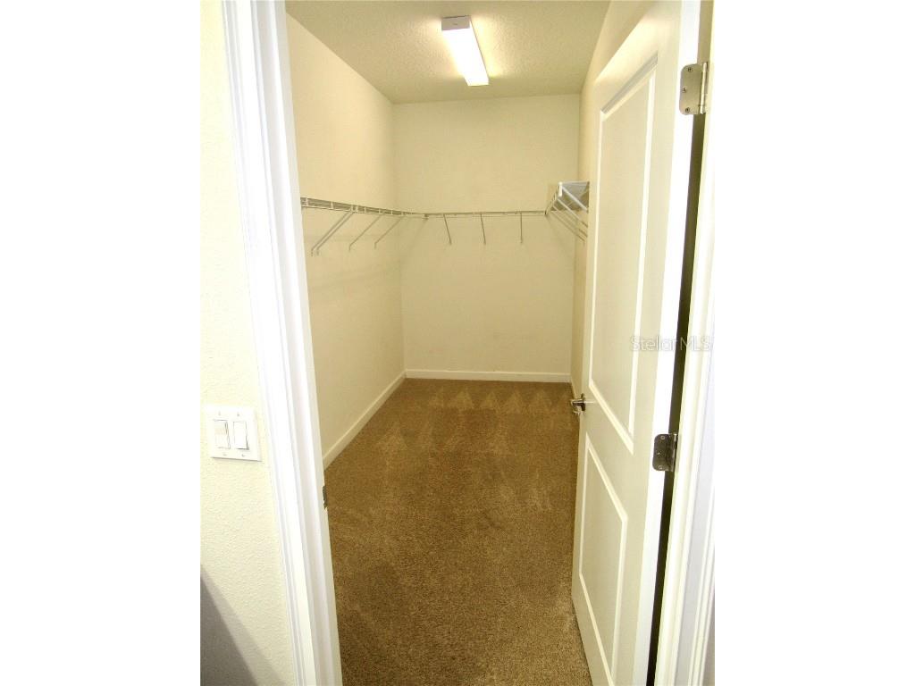 14019 Snowy Owl Lane Winter Garden FL 34787 S5109863 image9