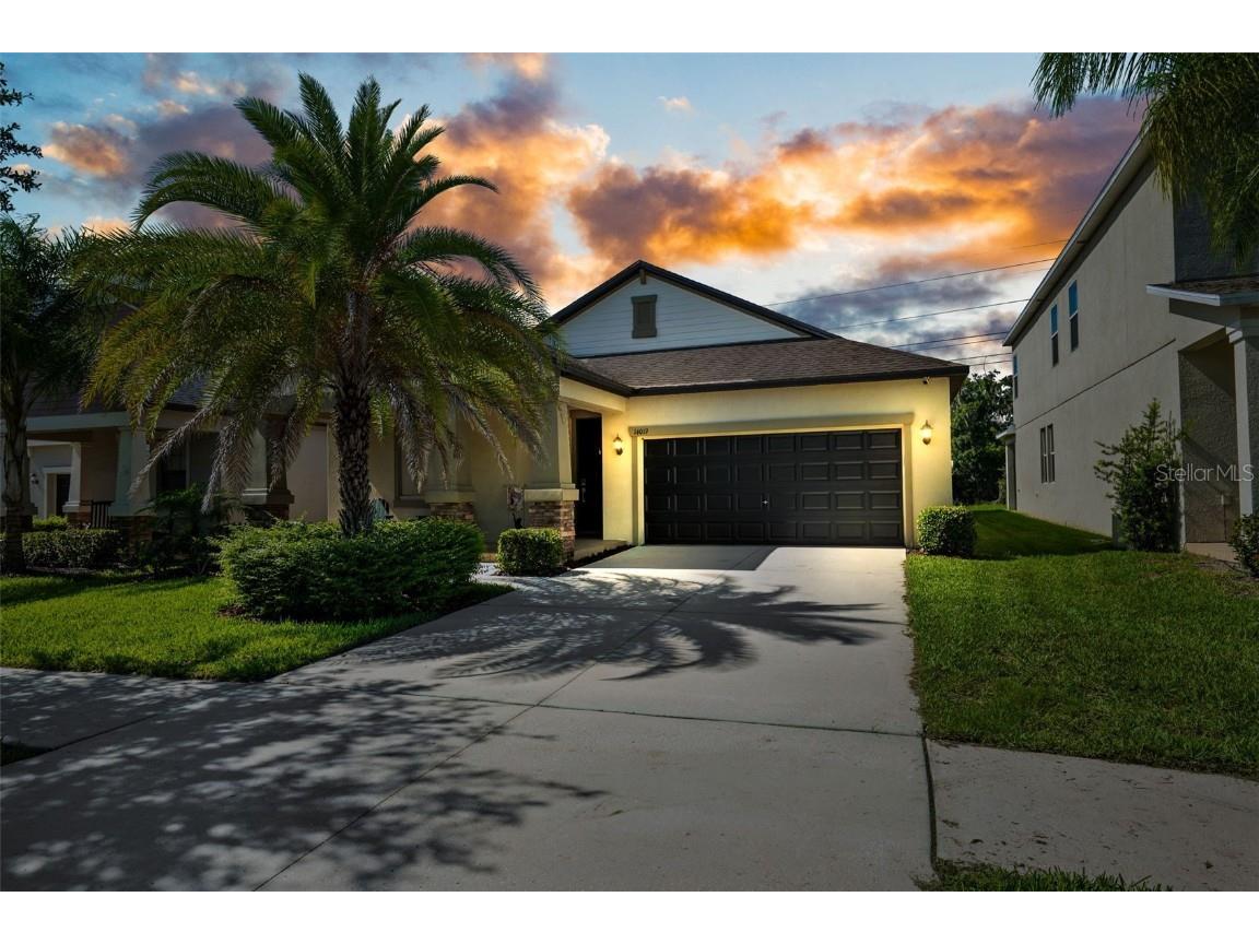 14019 Tropical Kingbird Way Riverview FL 33579 T3538373 image1