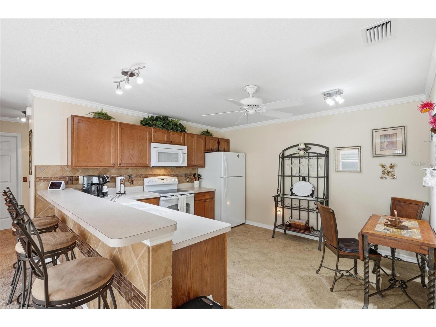 1402 Bunker Lane The Villages FL 32162 OM723615 image18