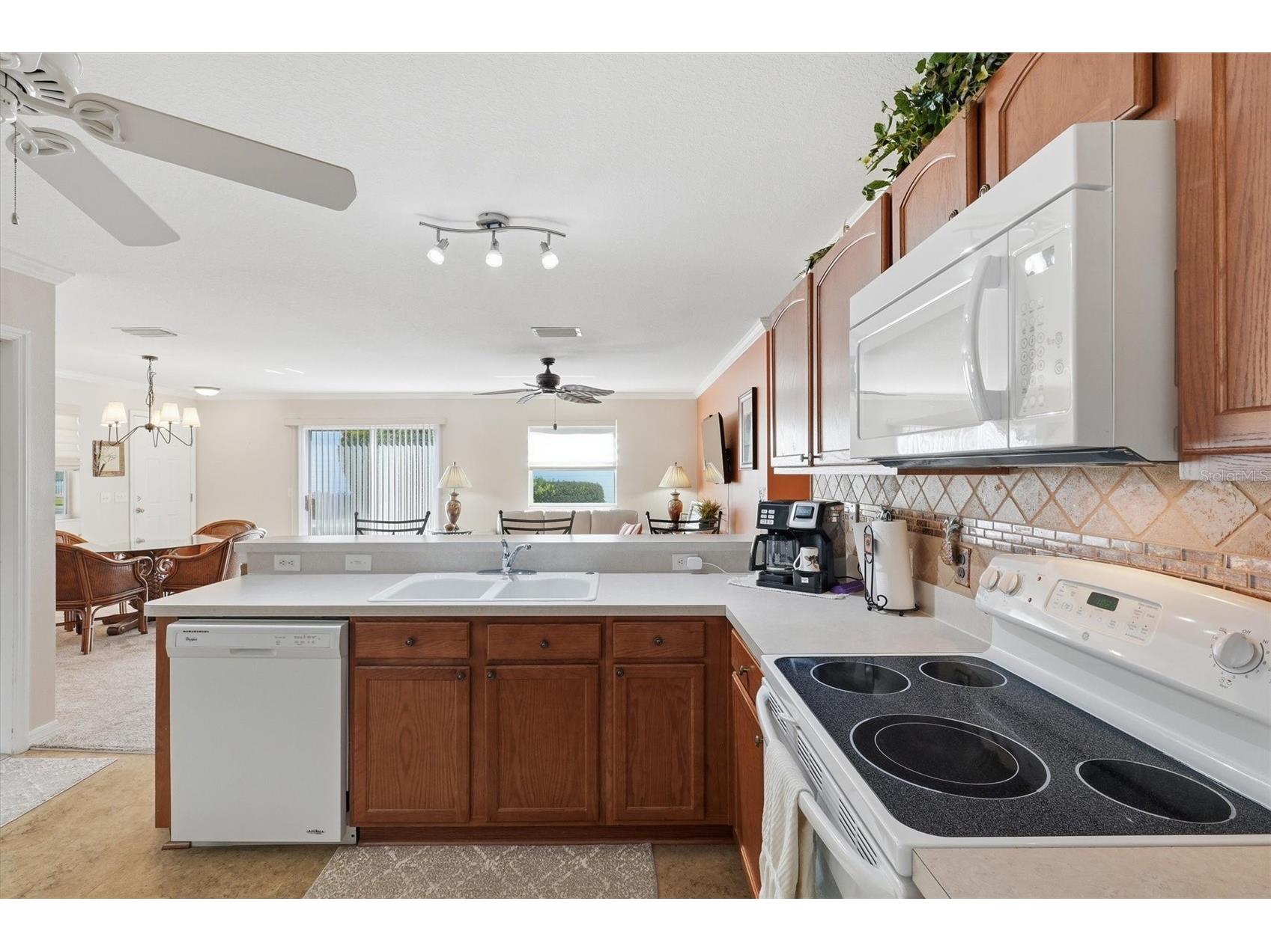 1402 Bunker Lane The Villages FL 32162 OM723615 image20