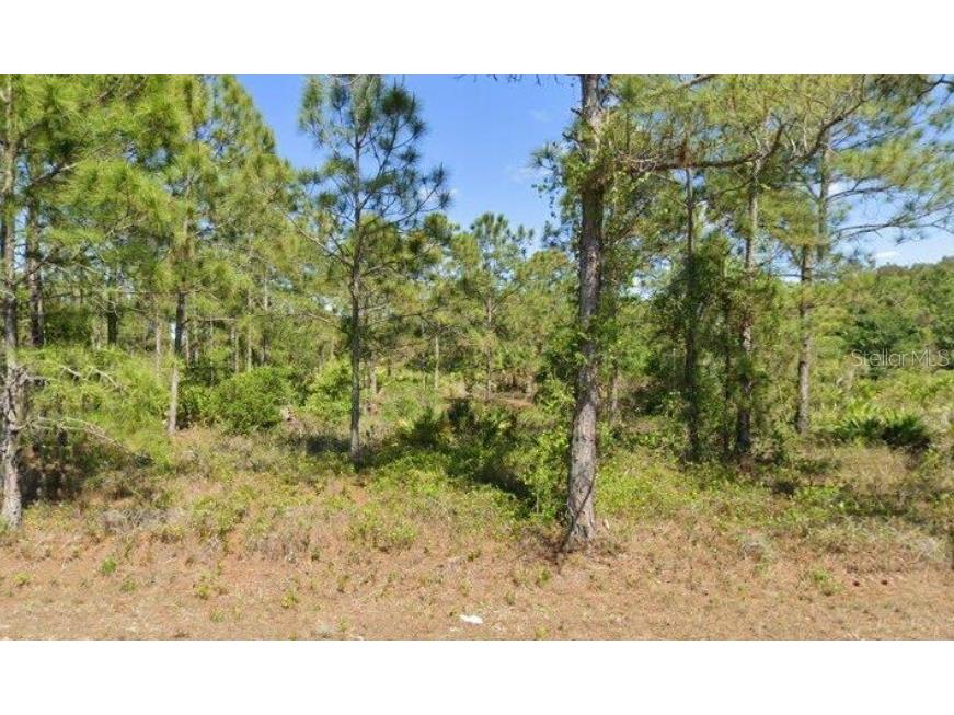 1402 Edison Avenue Lehigh Acres FL 33972 TB8442936 image1