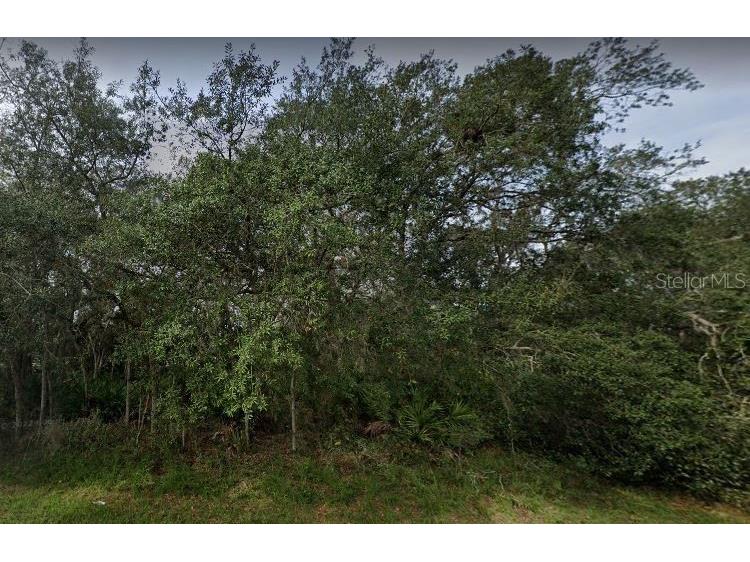 1402 Punta Gorda Court Poinciana FL 34759 B4901268 image2