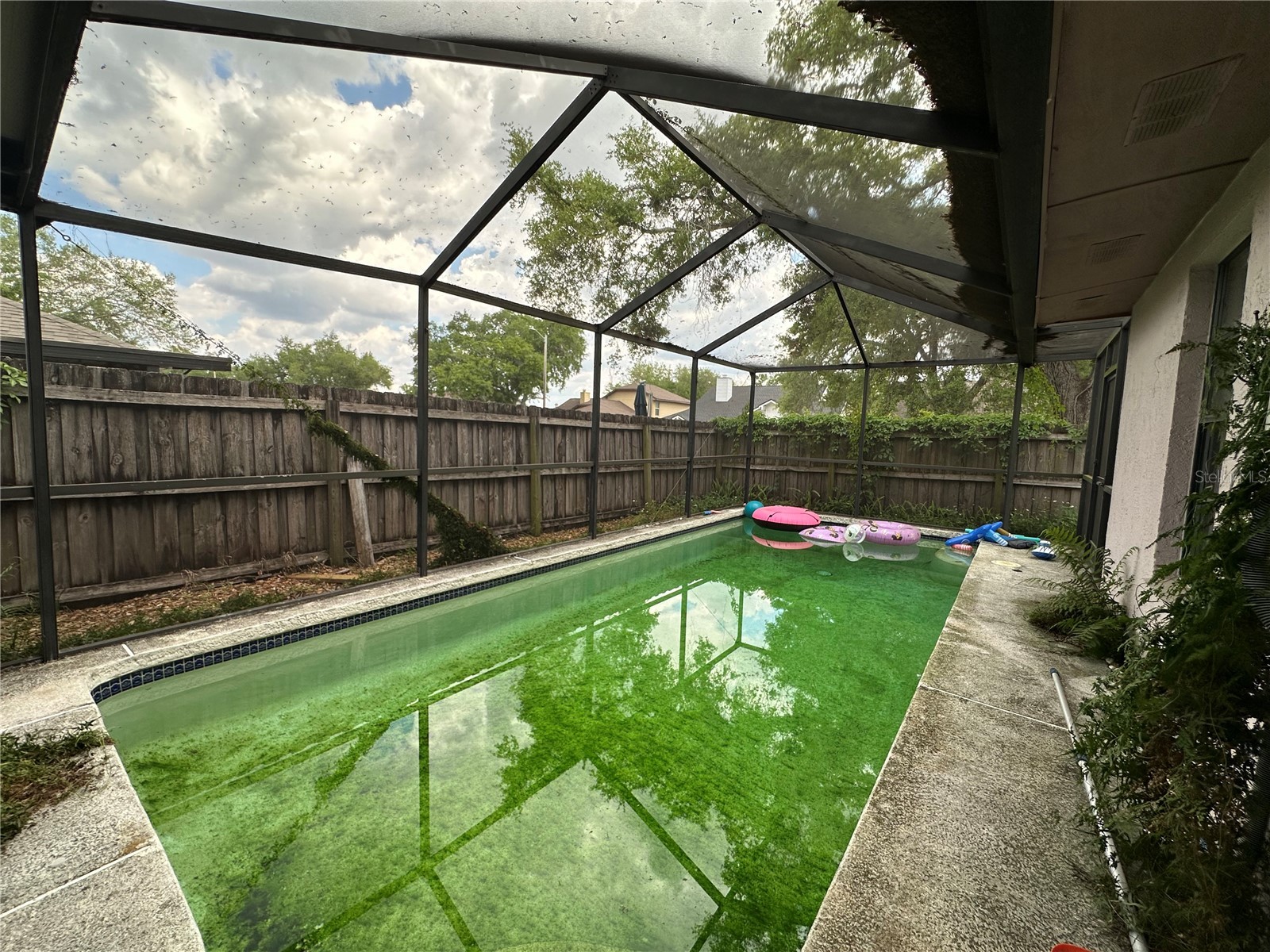 1402 Shell Flower Drive Brandon FL 33511 TB8493209 image30