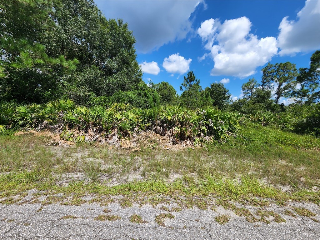 1402 State Avenue Lehigh Acres FL 33972 C7514148 image1