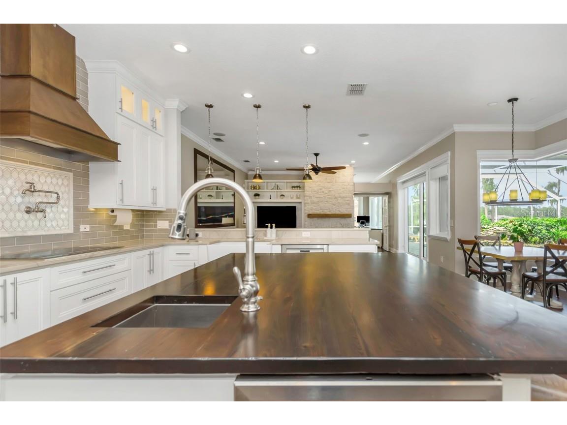 1402 Wyndham Lakes Drive Odessa FL 33556 - LAKE ANN TB8426420 image22