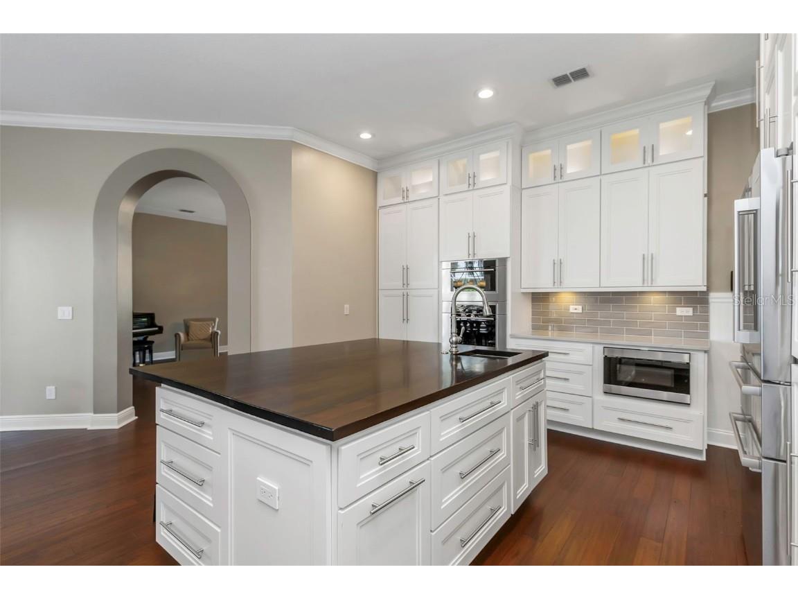 1402 Wyndham Lakes Drive Odessa FL 33556 - LAKE ANN TB8426420 image24