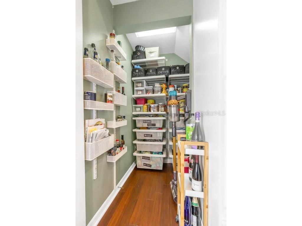 1402 Wyndham Lakes Drive Odessa FL 33556 - LAKE ANN TB8426420 image27