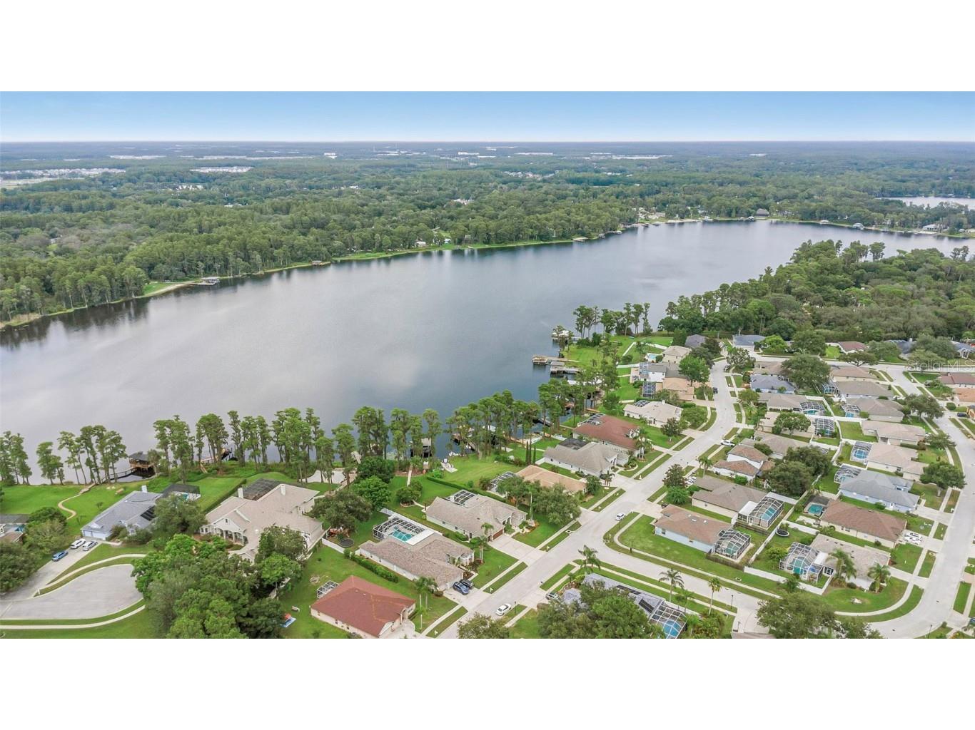 1402 Wyndham Lakes Drive Odessa FL 33556 - LAKE ANN TB8426420 image46