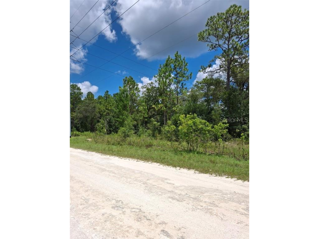 14020 Cedarwood Avenue Weeki Wachee FL 34614 TB8422842 image1