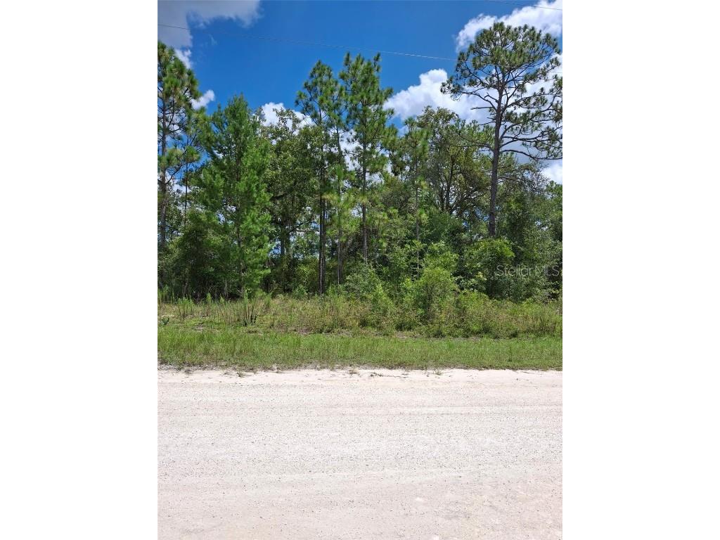 14020 Cedarwood Avenue Weeki Wachee FL 34614 TB8422842 image2