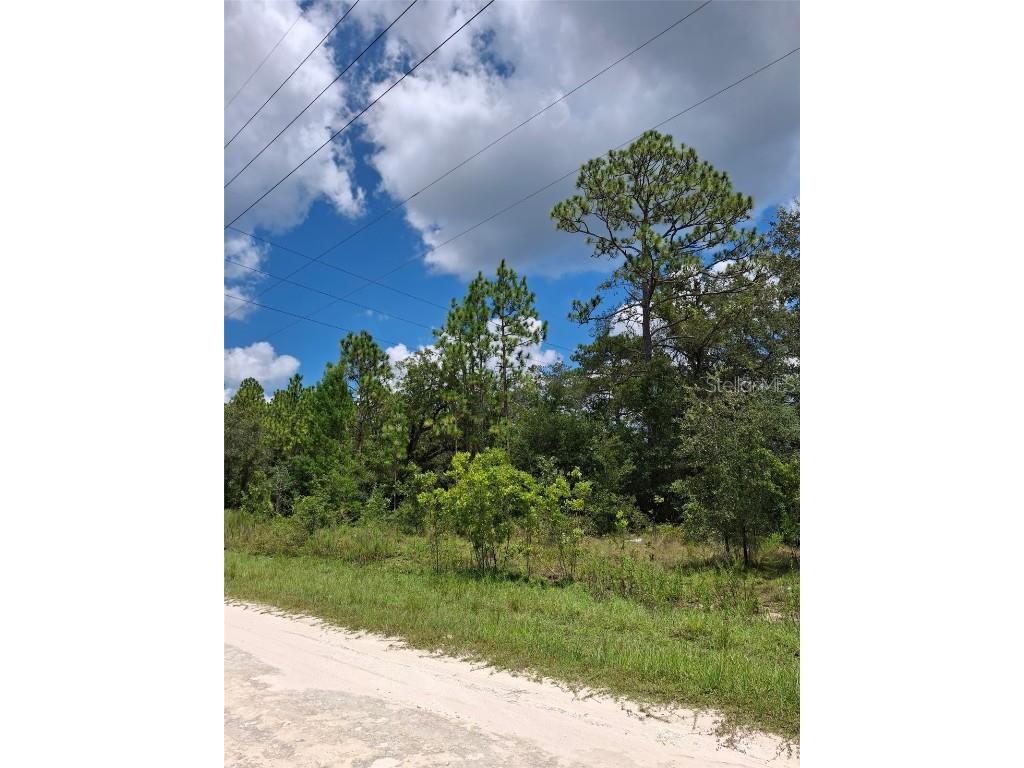 14020 Cedarwood Avenue Weeki Wachee FL 34614 TB8422842 image3