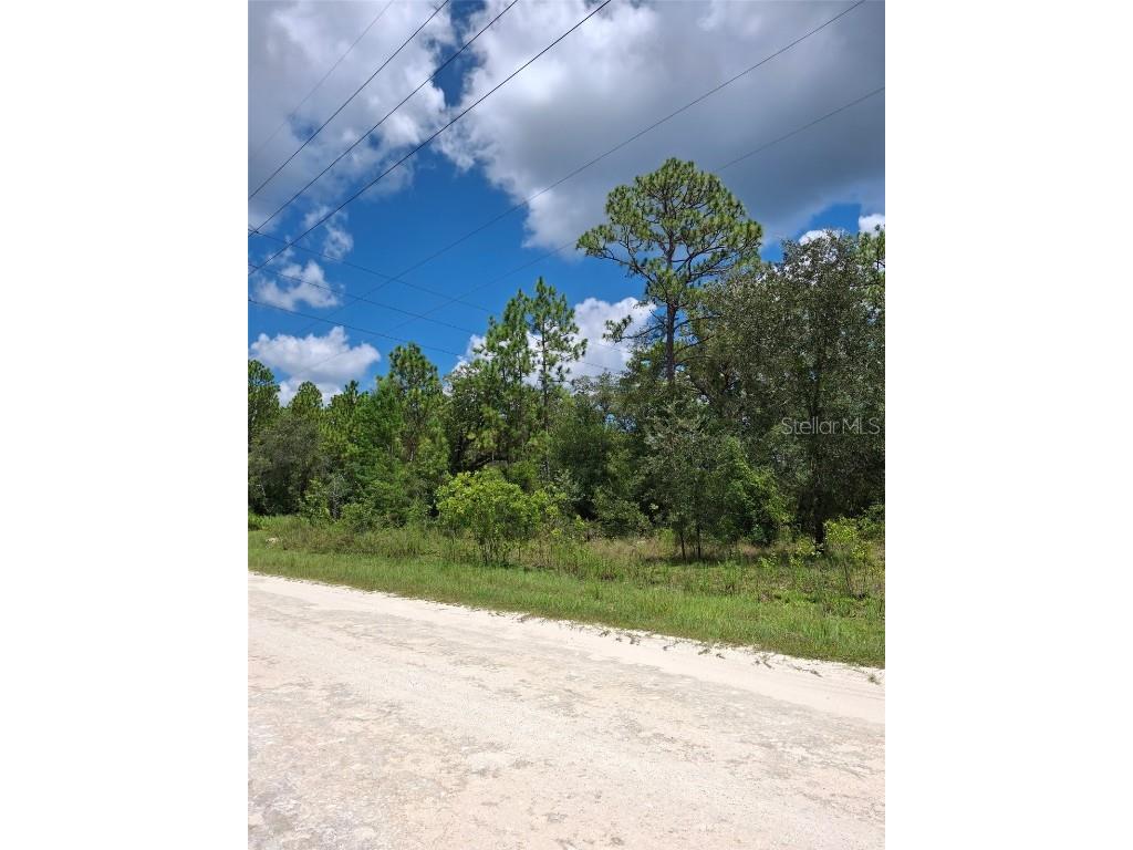 14020 Cedarwood Avenue Weeki Wachee FL 34614 TB8422842 image4