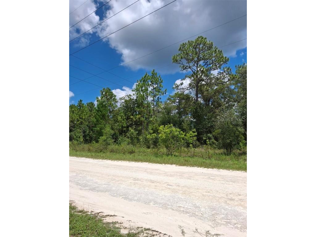 14020 Cedarwood Avenue Weeki Wachee FL 34614 TB8422842 image5