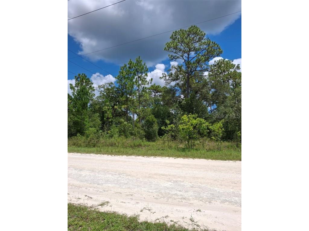 14020 Cedarwood Avenue Weeki Wachee FL 34614 TB8422842 image6