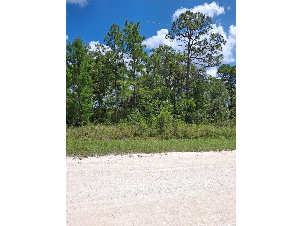 14020 Cedarwood Avenue Weeki Wachee FL 34614 TB8422842 image7