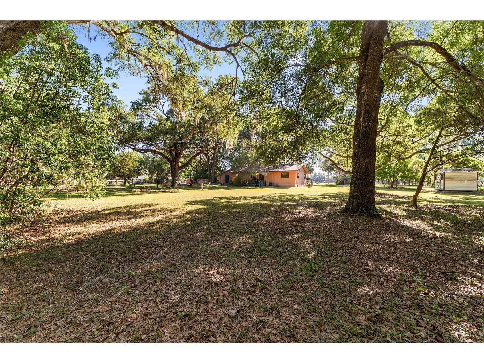 14020 NW 160th Avenue Williston FL 32696 OM723806 image28