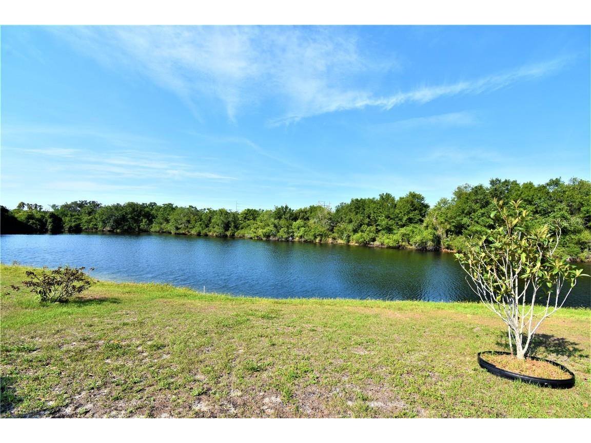 14022 Citrus Pointe Drive Tampa FL 33625 T3446381 image1