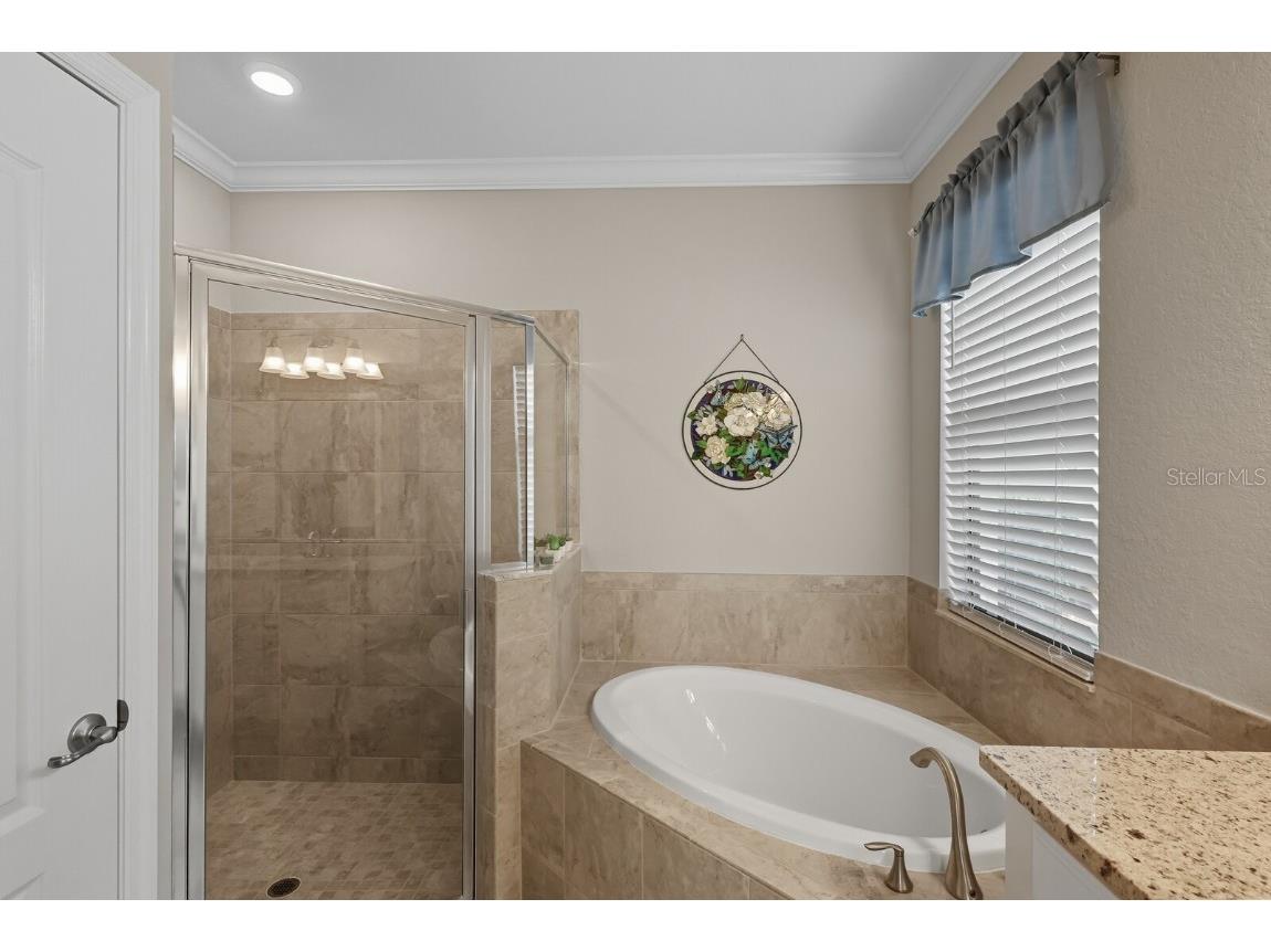 14022 Florida Rosemary Drive Lakewood Ranch FL 34211 A4668030 image55