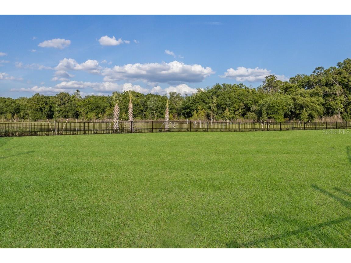 14022 Florida Rosemary Drive Lakewood Ranch FL 34211 A4668030 image77