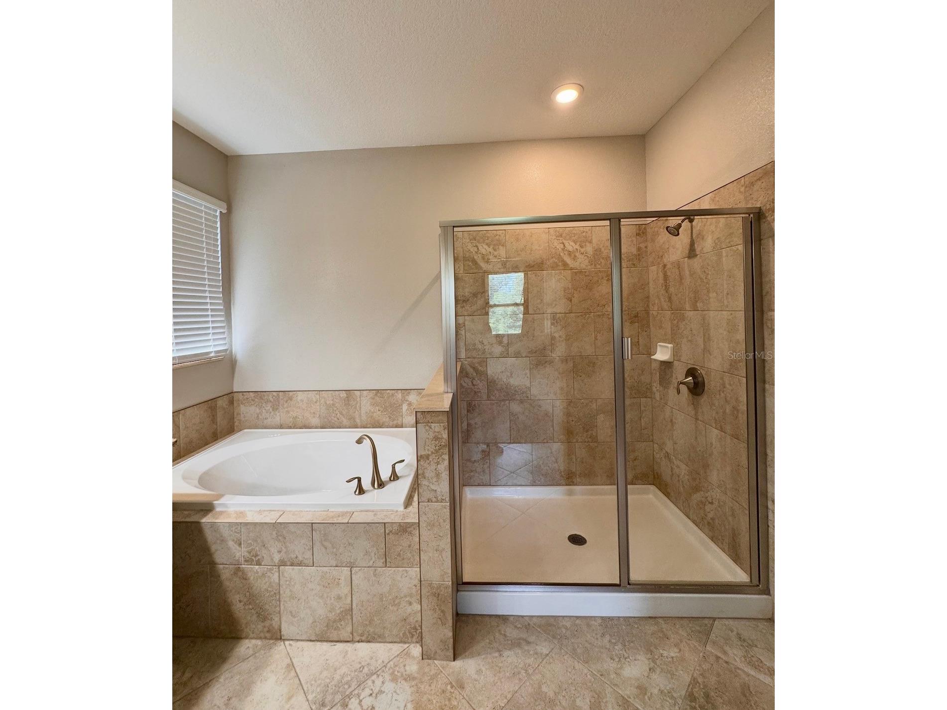 14023 Tropical Kingbird Way Riverview FL 33579 TB8509810 image16