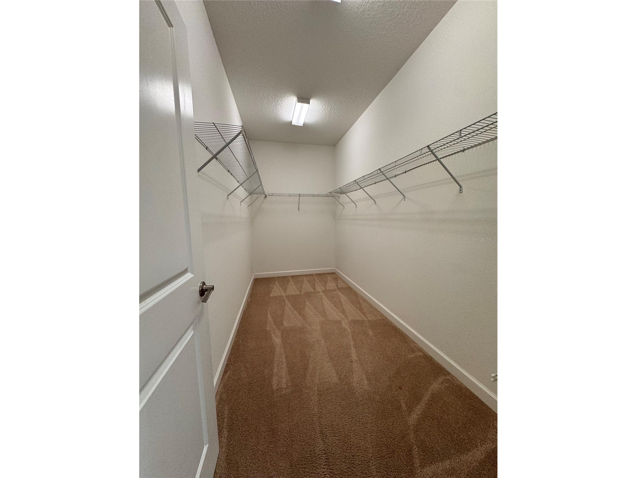 14023 Tropical Kingbird Way Riverview FL 33579 TB8509810 image19