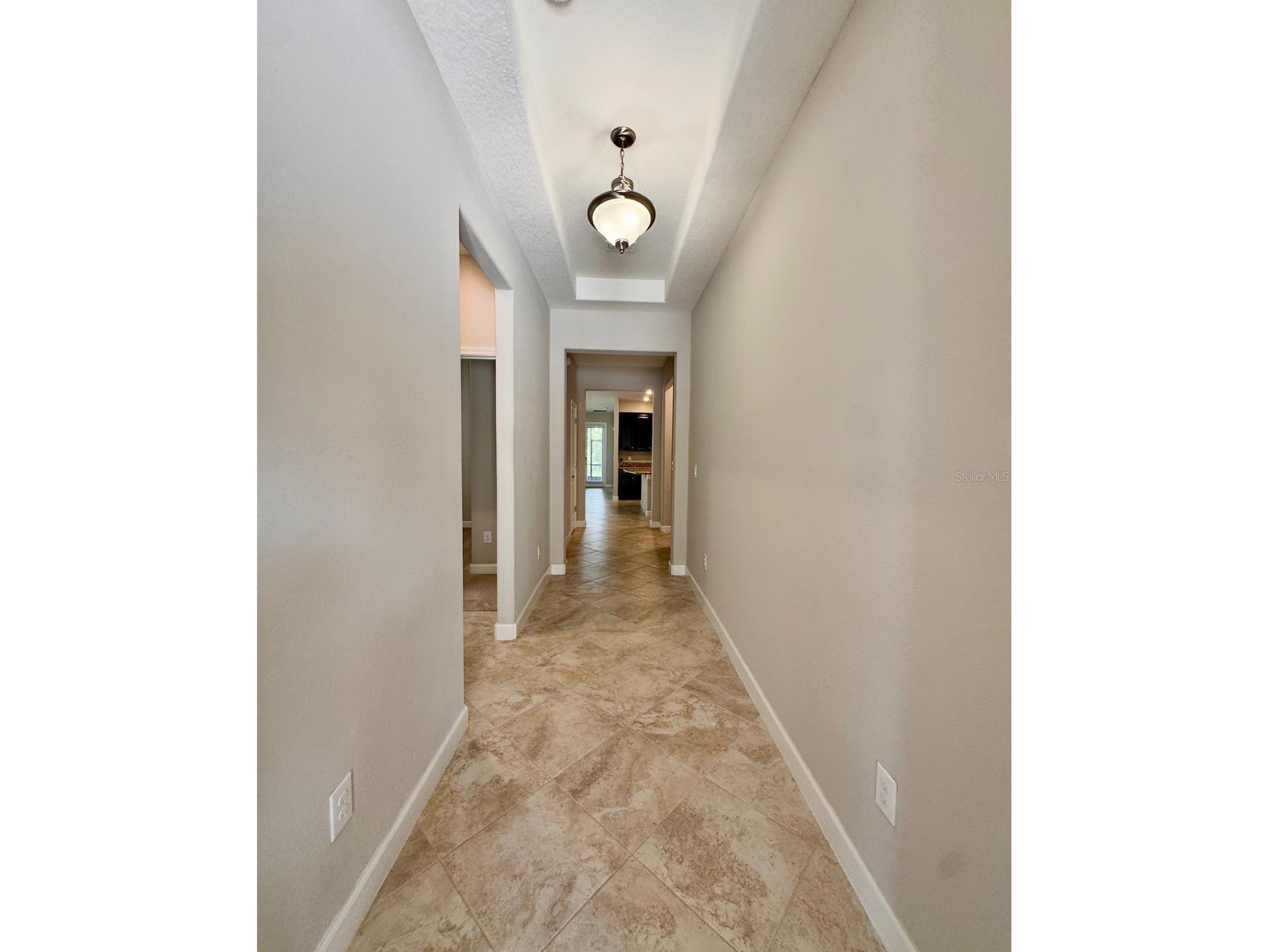 14023 Tropical Kingbird Way Riverview FL 33579 TB8509810 image4