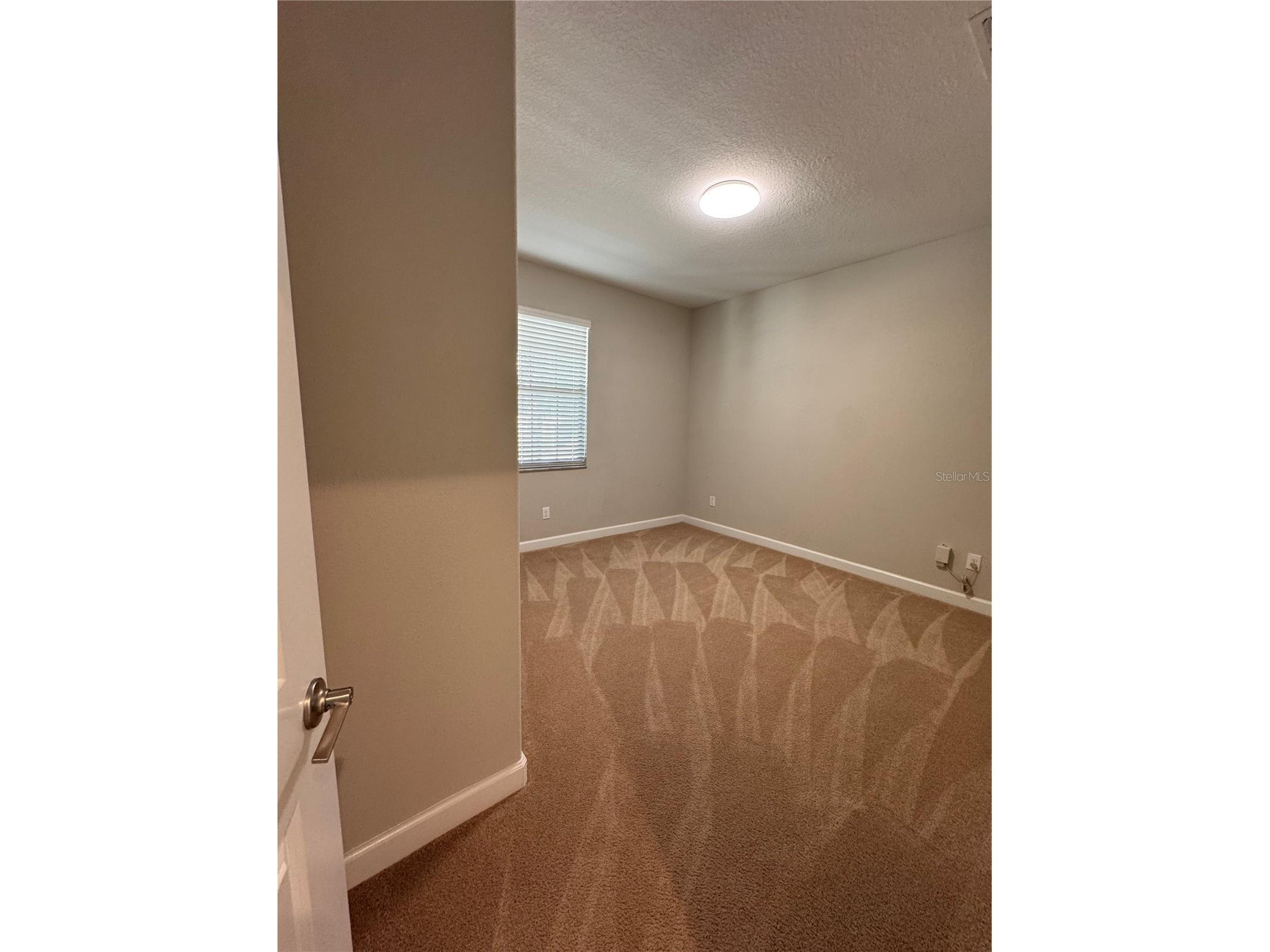 14023 Tropical Kingbird Way Riverview FL 33579 TB8509810 image6