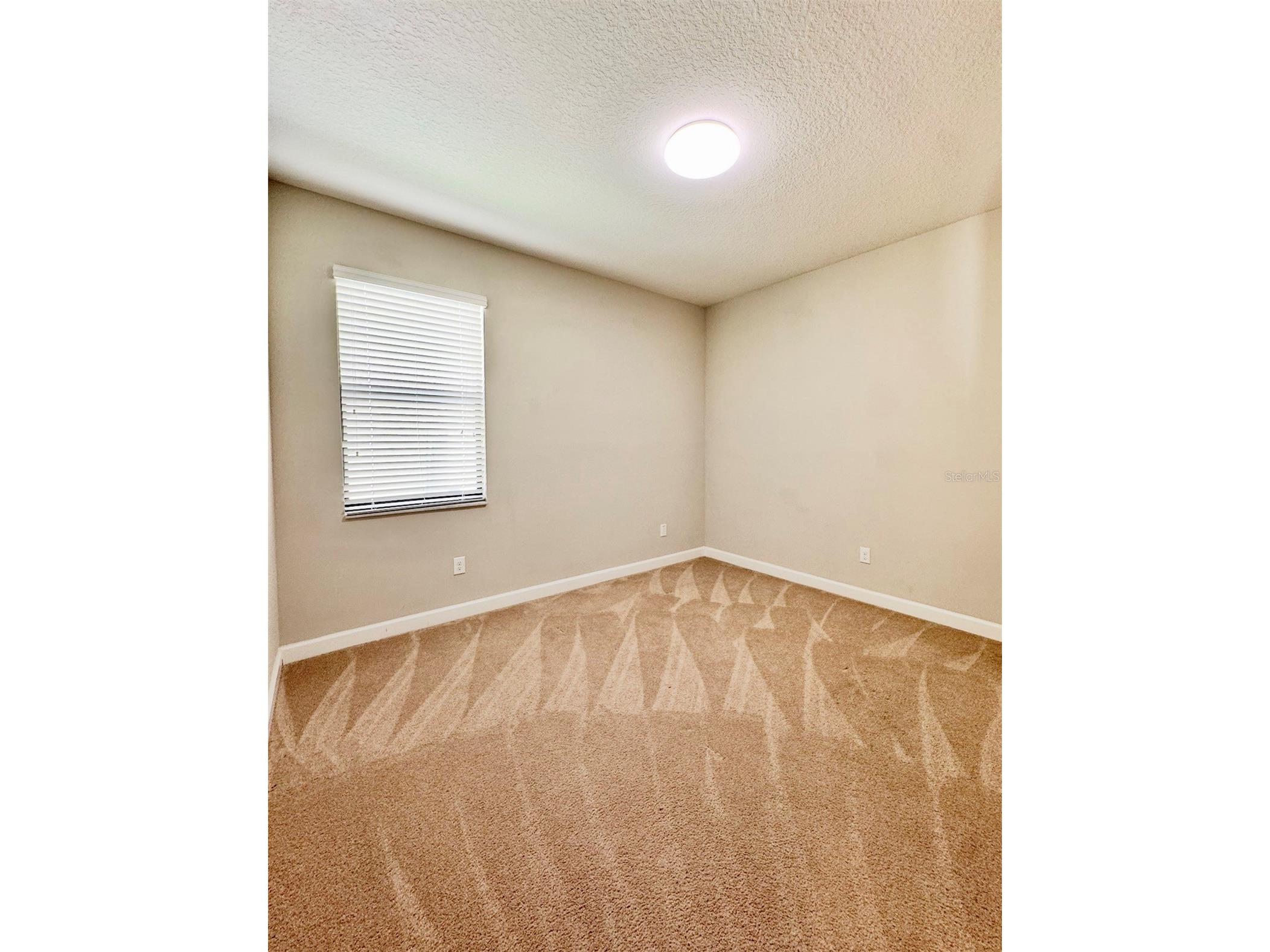 14023 Tropical Kingbird Way Riverview FL 33579 TB8509810 image8