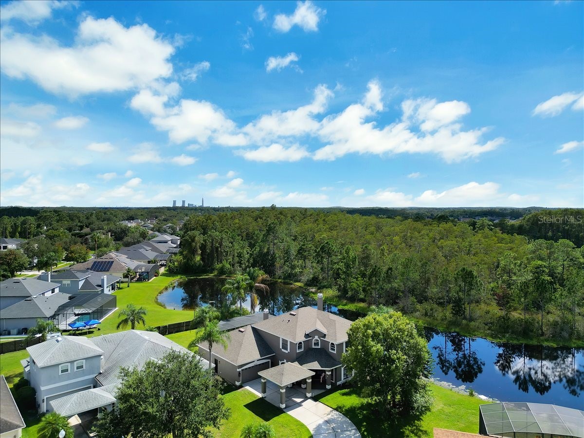 14024 Cherry Bush Court Orlando FL 32828 O6348850 image58