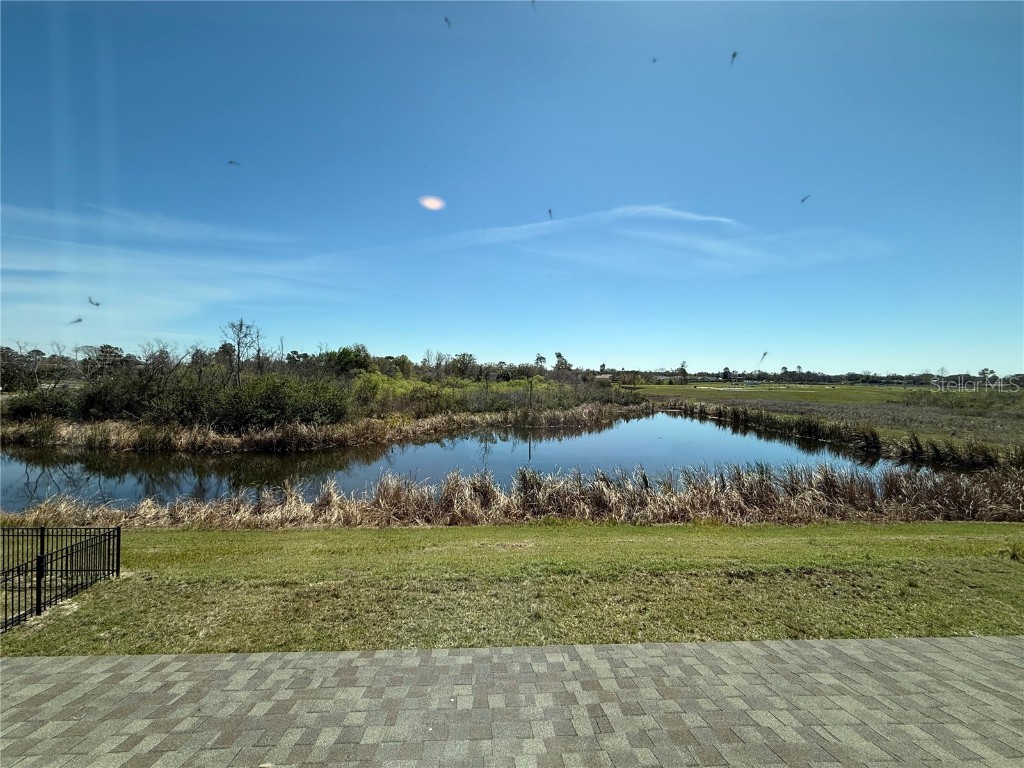 14024 Emerald Fields Drive Hudson FL 34667 R4909965 image10
