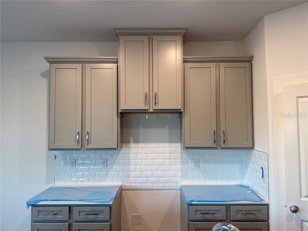 14024 Emerald Fields Drive Hudson FL 34667 R4909965 image6