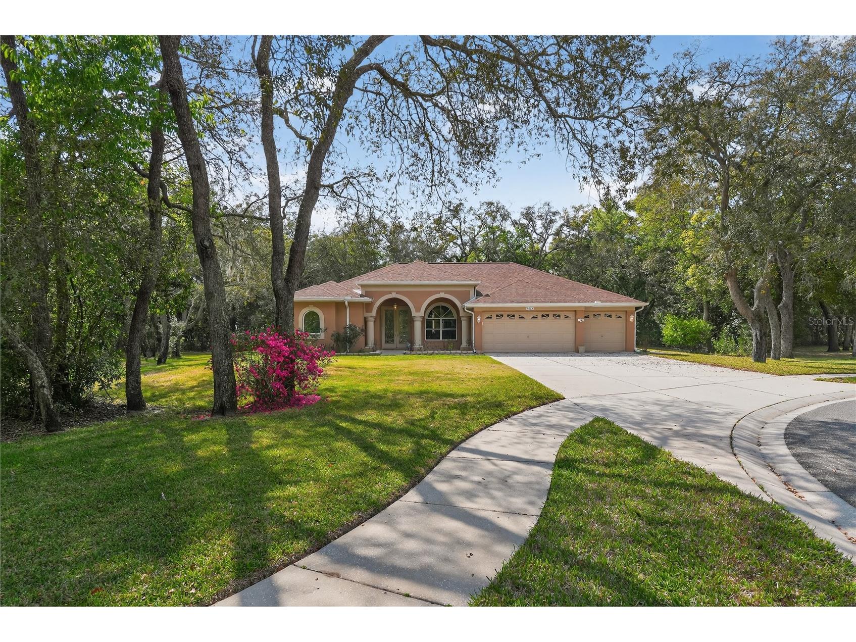 14024 Warm Springs Court Hudson FL 34667 W7884251 image3