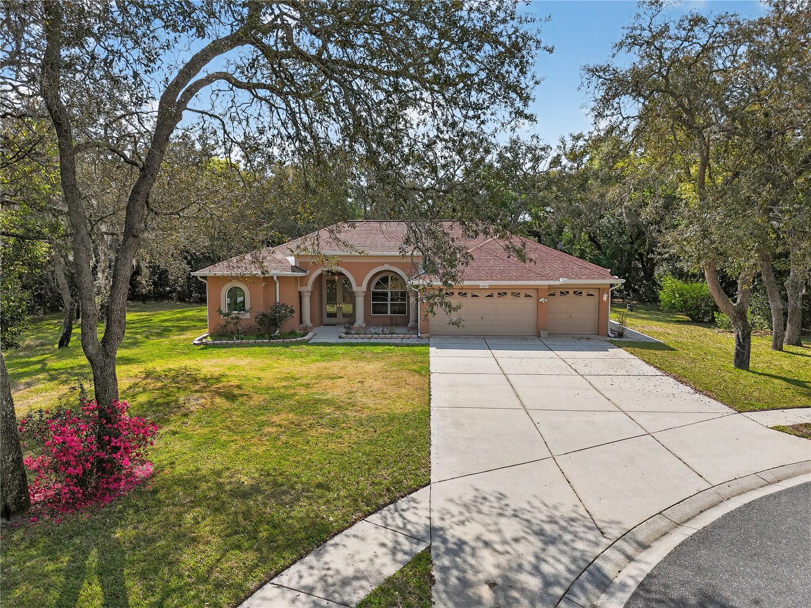 14024 Warm Springs Court Hudson FL 34667 W7884251 image4