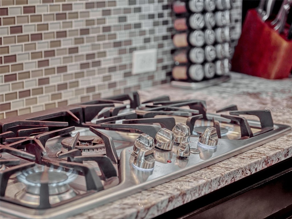 14025 Hench Lane Orlando FL 32827 O6304467 image18