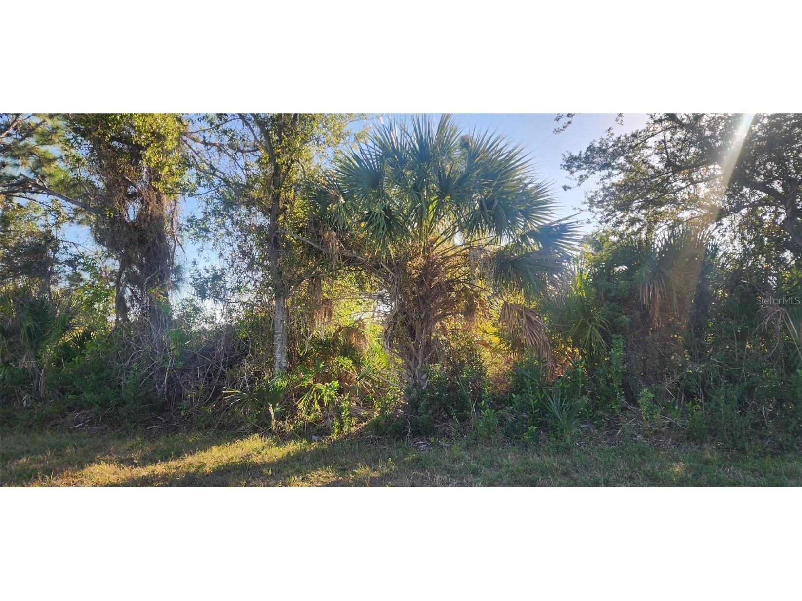 14025 Paris Lane Port Charlotte FL 33981 D6145495 image3