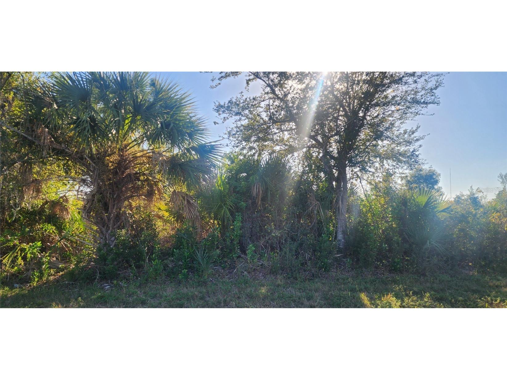 14025 Paris Lane Port Charlotte FL 33981 D6145495 image4