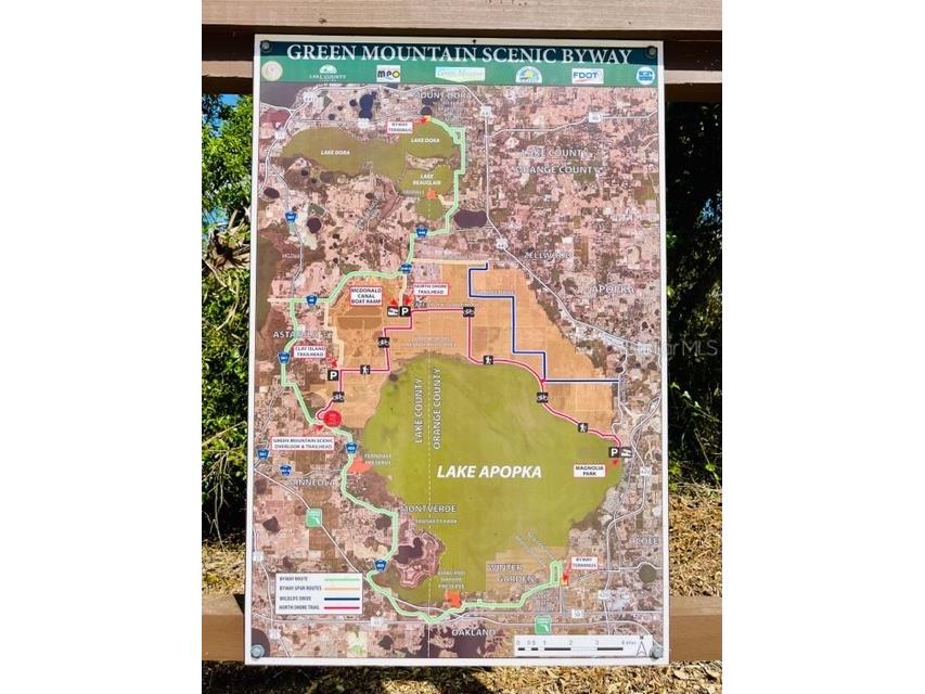 14025 Royal Fern Way Astatula FL 34705 O6345319 image34